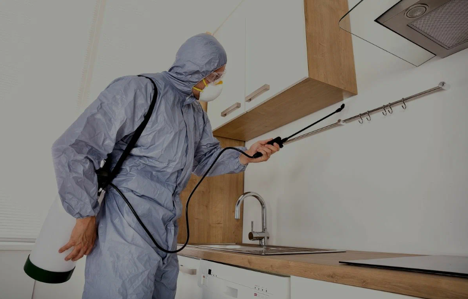 Lancaster pest managment