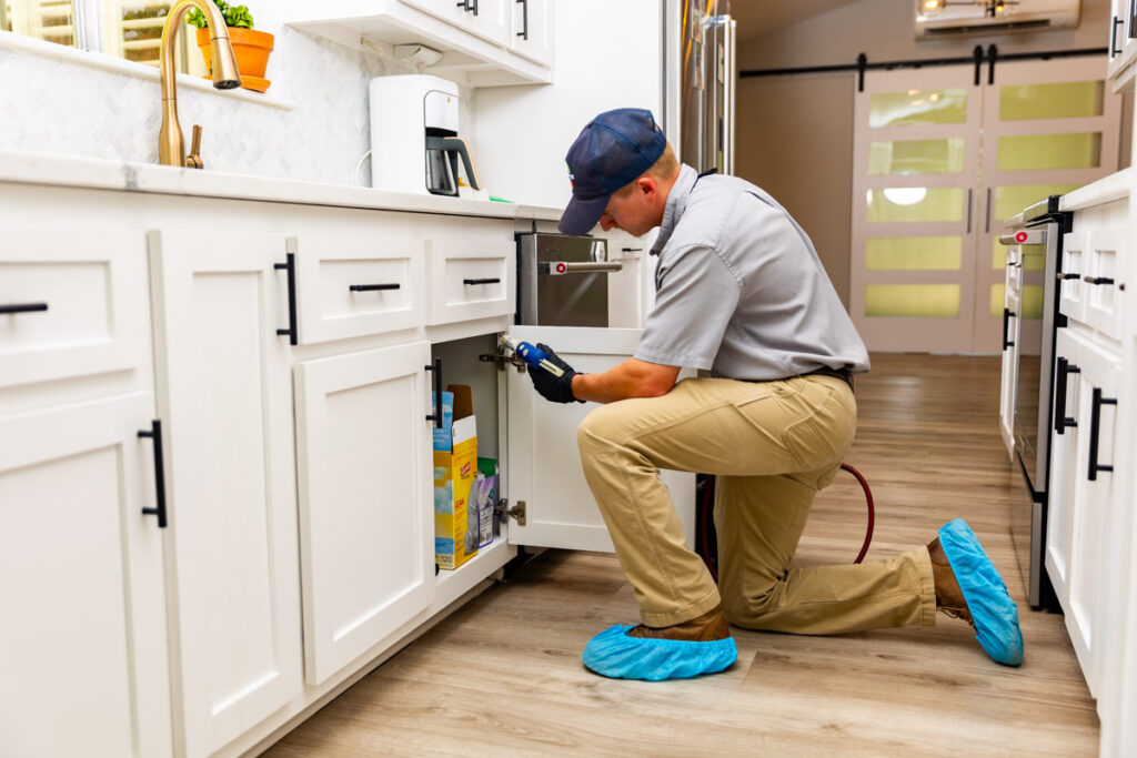 Lancaster xpert pest management